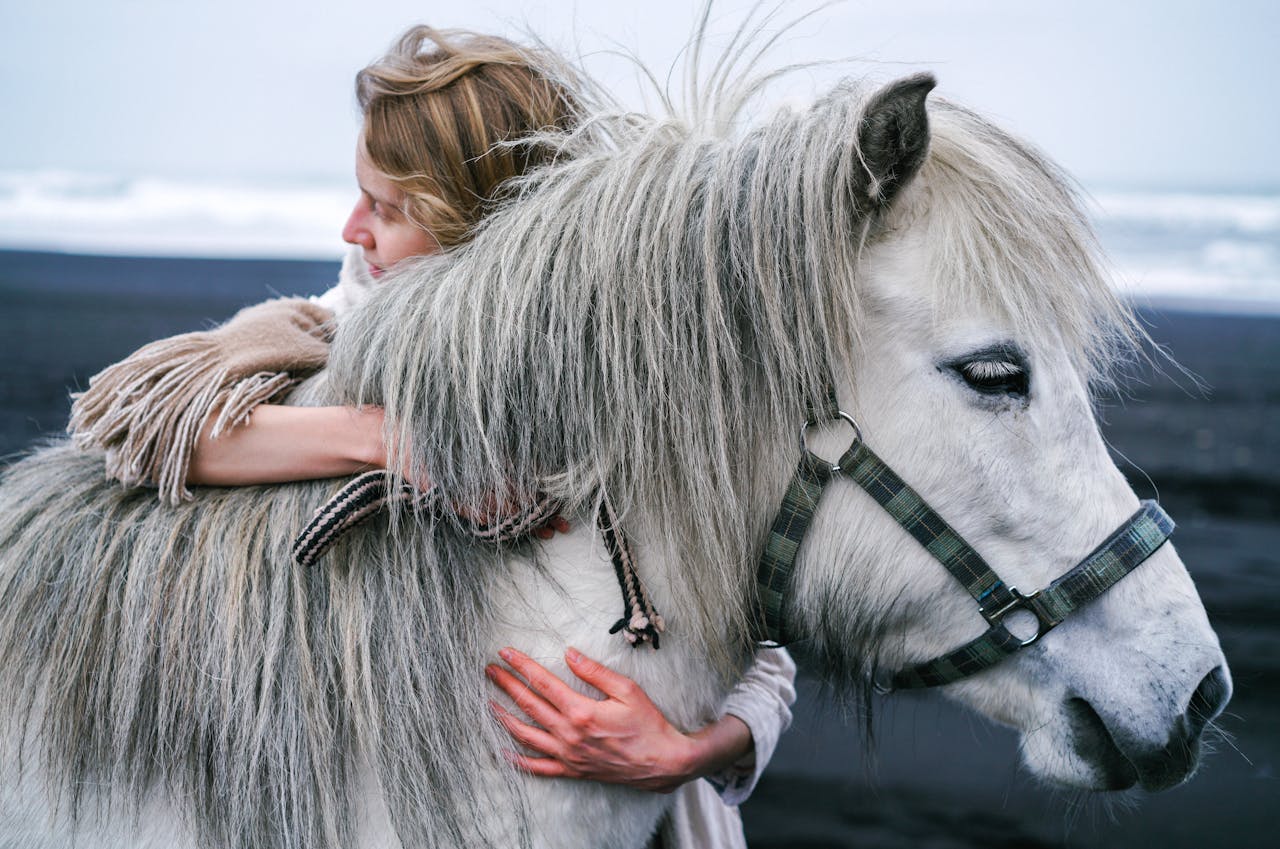 Blond lady cuddling warm blooded grey stallion with thick mane and white eyelashes in bridle while standing on seashore in afternoon and looking away